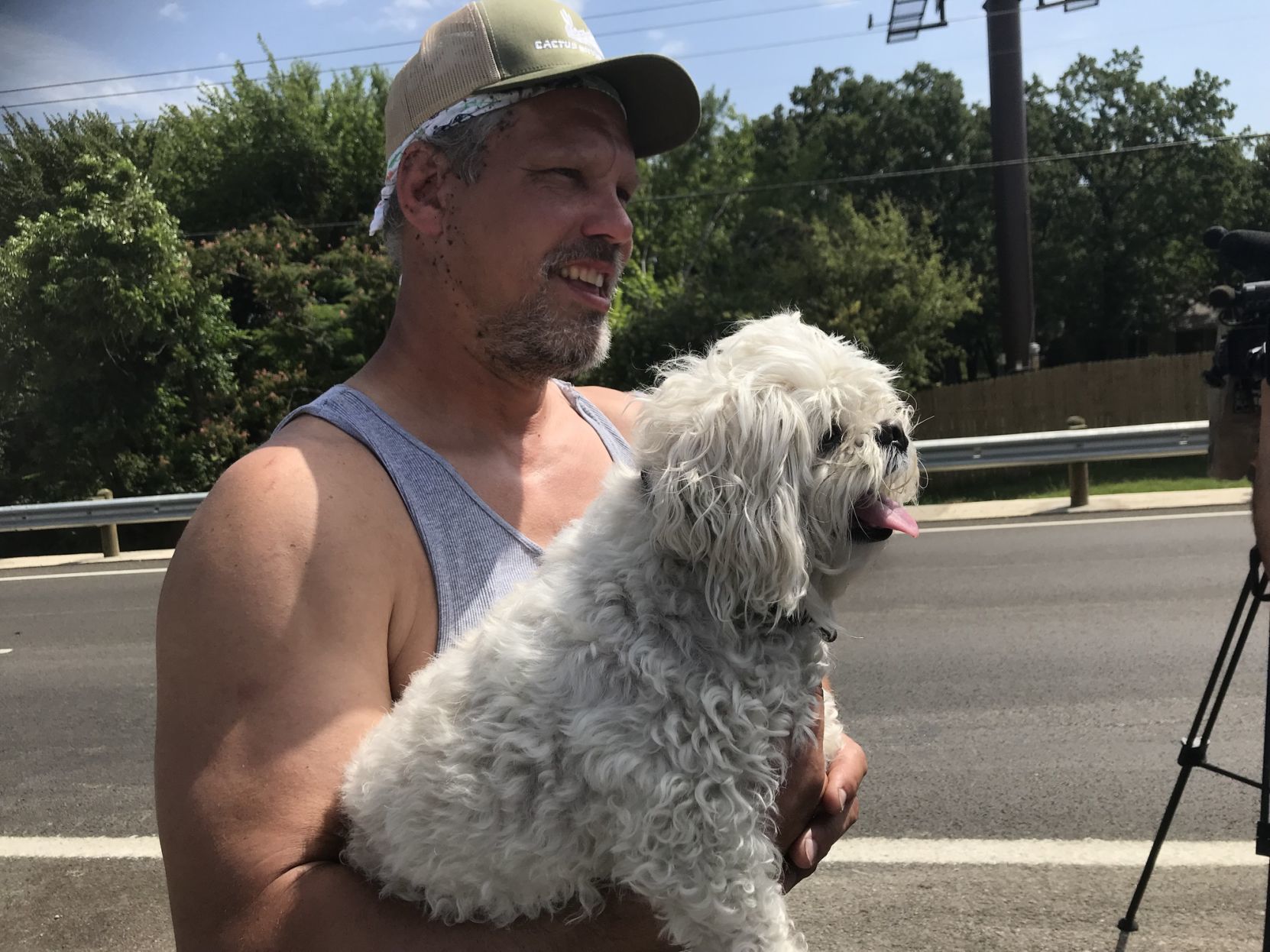 Chase dog